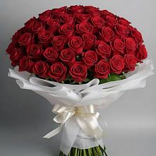 Букет 101 Красная роза Блэк Мэджик в Ясной Поляне