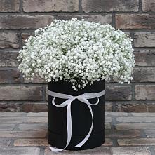 Цветочная композиция из Гипсофила в шляпной коробке #REPLACE_PRED# Ясной Поляне